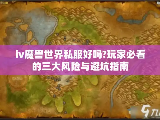iv魔兽世界私服好吗?玩家必看的三大风险与避坑指南