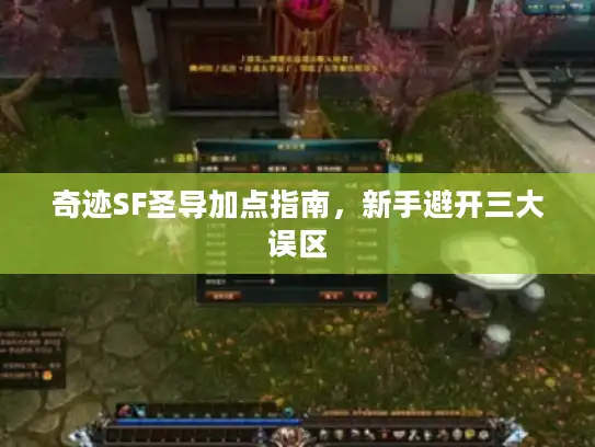 奇迹SF圣导加点指南，新手避开三大误区
