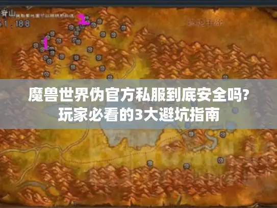 魔兽世界伪官方私服到底安全吗?玩家必看的3大避坑指南