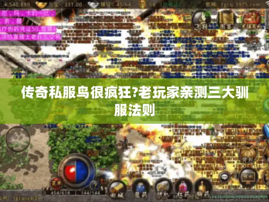 传奇私服鸟很疯狂?老玩家亲测三大驯服法则