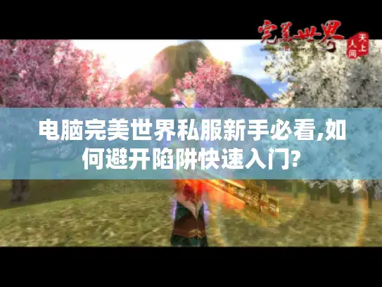 电脑完美世界私服新手必看,如何避开陷阱快速入门?