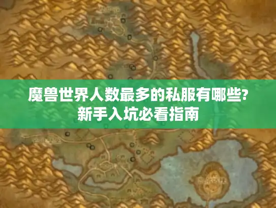 魔兽世界人数最多的私服有哪些?新手入坑必看指南