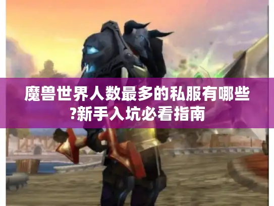 魔兽世界人数最多的私服有哪些?新手入坑必看指南