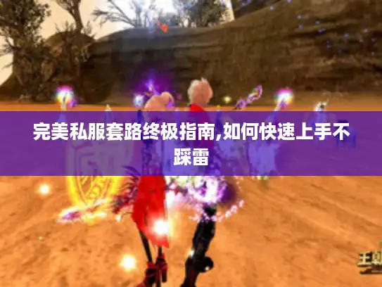 完美私服套路终极指南,如何快速上手不踩雷