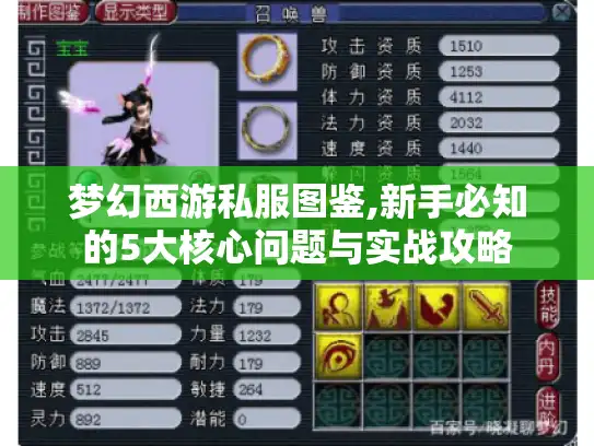 梦幻西游私服图鉴,新手必知的5大核心问题与实战攻略