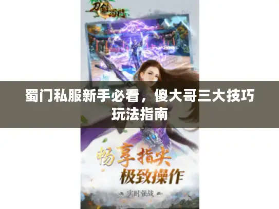 蜀门私服新手必看，傻大哥三大技巧玩法指南
