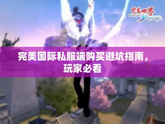 完美国际私服端购买避坑指南，玩家必看