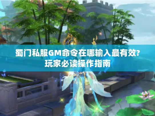 蜀门私服GM命令在哪输入最有效?玩家必读操作指南