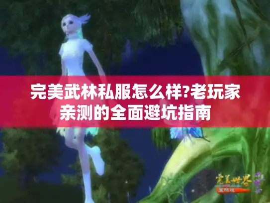 完美武林私服怎么样?老玩家亲测的全面避坑指南