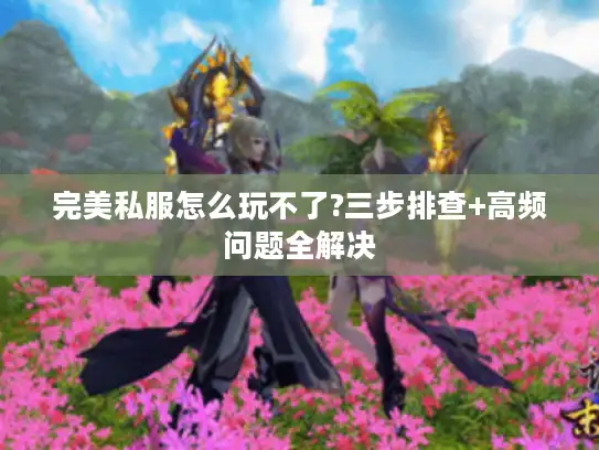 完美私服怎么玩不了?三步排查+高频问题全解决