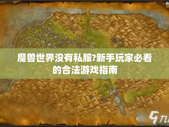 魔兽世界没有私服?新手玩家必看的合法游戏指南