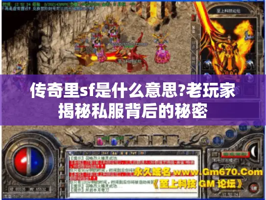 传奇里sf是什么意思?老玩家揭秘私服背后的秘密