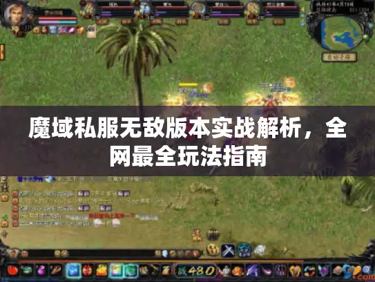 魔域私服无敌版本实战解析，全网最全玩法指南