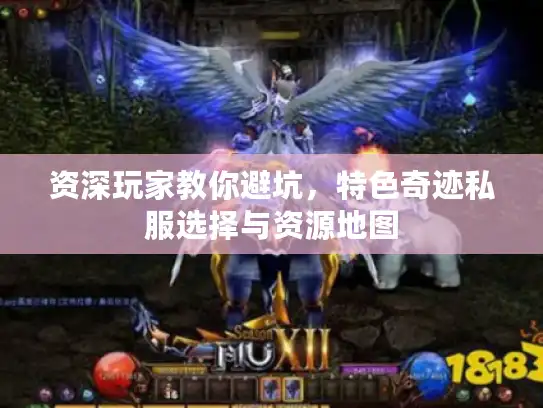 资深玩家教你避坑，特色奇迹私服选择与资源地图