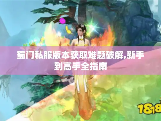 蜀门私服版本获取难题破解,新手到高手全指南