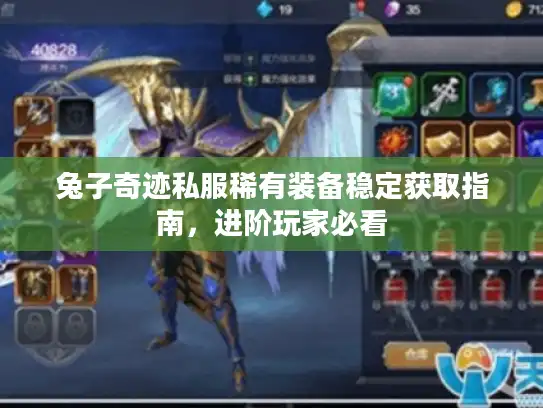 兔子奇迹私服稀有装备稳定获取指南，进阶玩家必看