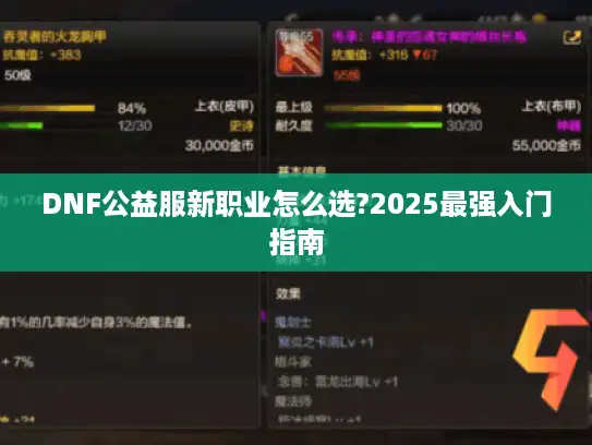 DNF公益服新职业怎么选?2025最强入门指南