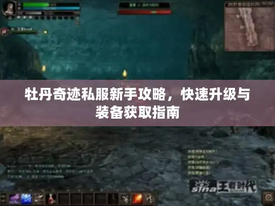 牡丹奇迹私服新手攻略，快速升级与装备获取指南