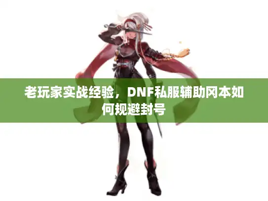 老玩家实战经验，DNF私服辅助冈本如何规避封号
