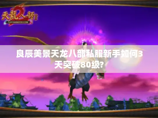 良辰美景天龙八部私服新手如何3天突破80级?