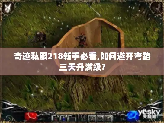 奇迹私服218新手必看,如何避开弯路三天升满级?
