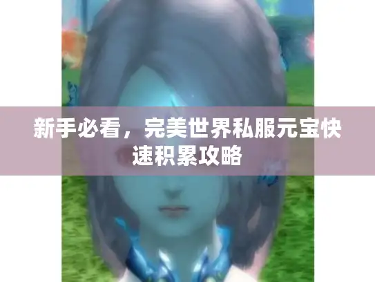 新手必看，完美世界私服元宝快速积累攻略