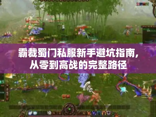 霸裁蜀门私服新手避坑指南,从零到高战的完整路径