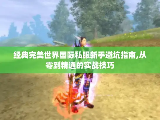 经典完美世界国际私服新手避坑指南,从零到精通的实战技巧 经典完美世界国际私服新手避坑指南,从零到精通的实战技巧