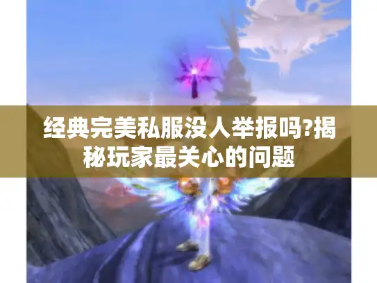 经典完美私服没人举报吗?揭秘玩家最关心的问题