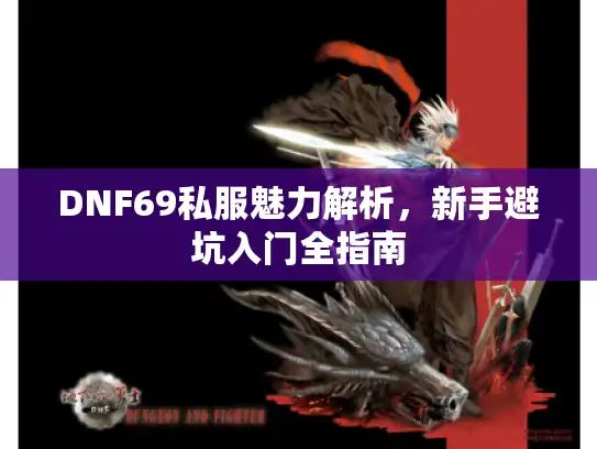 DNF69私服魅力解析,新手避坑入门全指南 DNF69私服魅力解析,新手避坑入门全指南