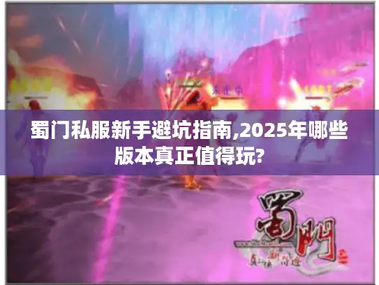 蜀门私服新手避坑指南,2025年哪些版本真正值得玩?