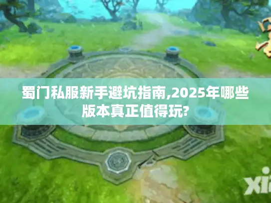 蜀门私服新手避坑指南,2025年哪些版本真正值得玩?