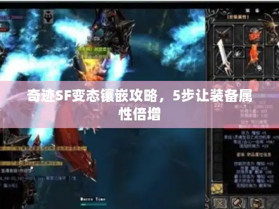 奇迹SF变态镶嵌攻略,5步让装备属性倍增 奇迹SF变态镶嵌攻略,5步让装备属性倍增