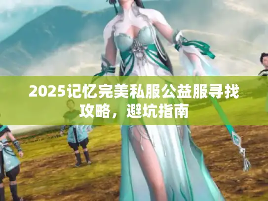 2025记忆完美私服公益服寻找攻略，避坑指南
