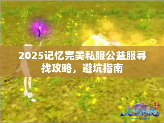 2025记忆完美私服公益服寻找攻略，避坑指南