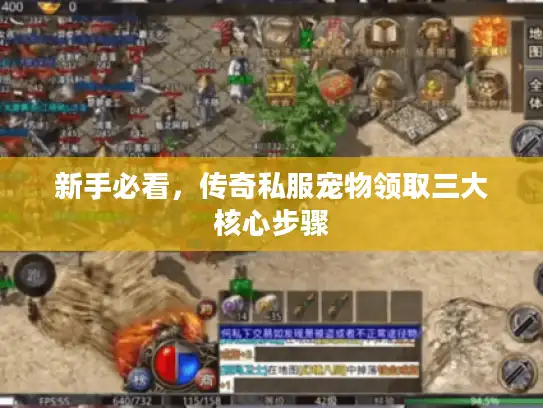 新手必看，传奇私服宠物领取三大核心步骤