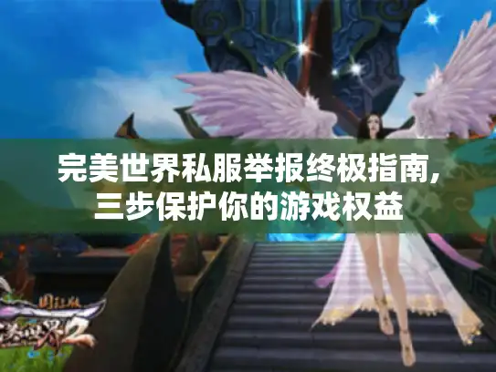 完美世界私服举报终极指南,三步保护你的游戏权益