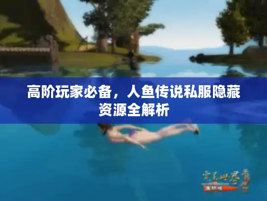 高阶玩家必备，人鱼传说私服隐藏资源全解析