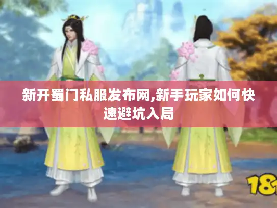 新开蜀门私服发布网,新手玩家如何快速避坑入局