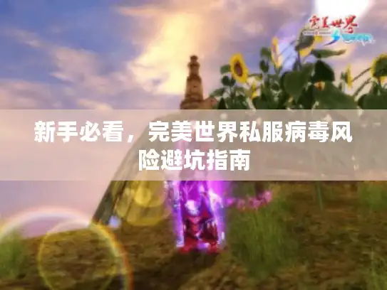 新手必看，完美世界私服病毒风险避坑指南