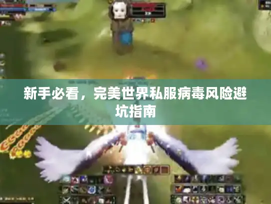 新手必看，完美世界私服病毒风险避坑指南