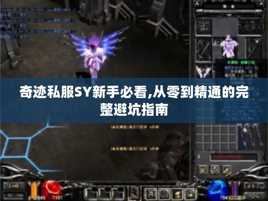 奇迹私服SY新手必看,从零到精通的完整避坑指南