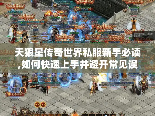 天狼星传奇世界私服新手必读,如何快速上手并避开常见误区?