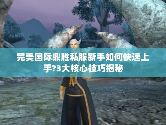 完美国际鼎胜私服新手如何快速上手?3大核心技巧揭秘