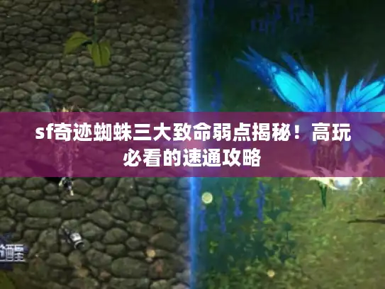 sf奇迹蜘蛛三大致命弱点揭秘!高玩必看的速通攻略 sf奇迹蜘蛛三大致命弱点揭秘!高玩必看的速通攻略