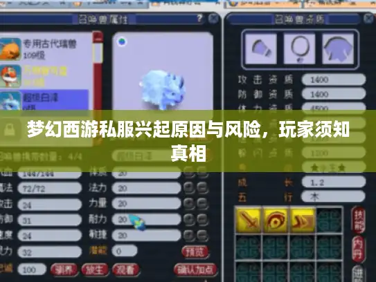梦幻西游私服兴起原因与风险，玩家须知真相