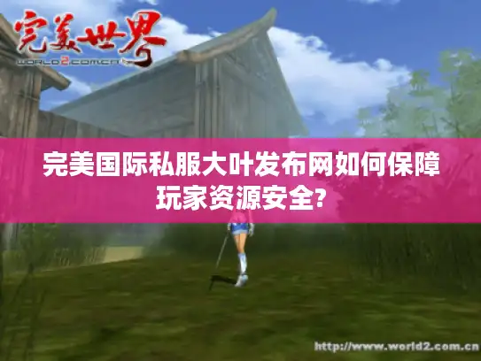 完美国际私服大叶发布网如何保障玩家资源安全?