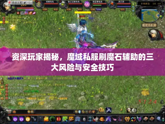 资深玩家揭秘，魔域私服刷魔石辅助的三大风险与安全技巧