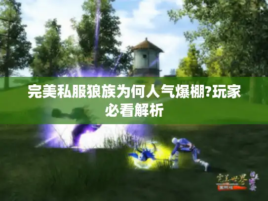 完美私服狼族为何人气爆棚?玩家必看解析