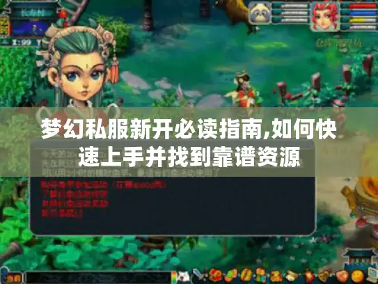 梦幻私服新开必读指南,如何快速上手并找到靠谱资源